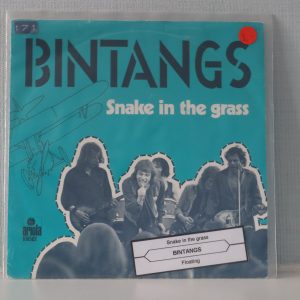 bintangs,snake in the grass
