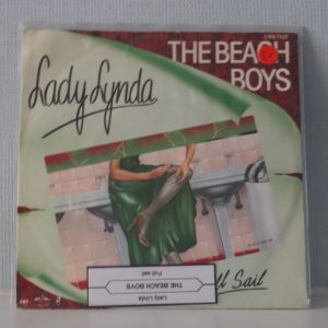 beach boys, i can hear music