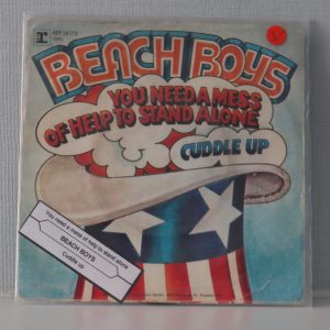 beach boys,lady linda