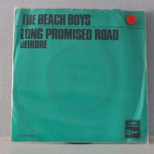 beach boys,long promised road